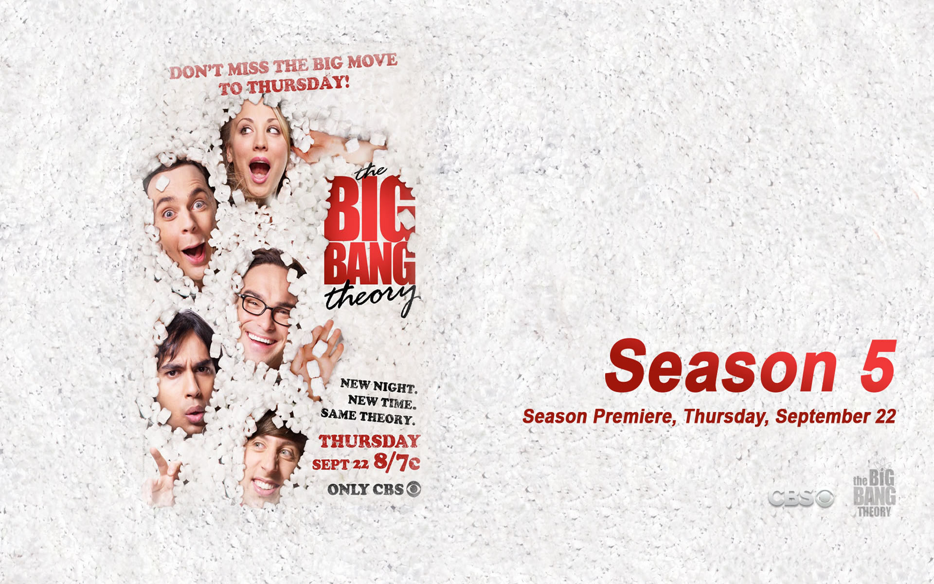 The Big Bang Theory. Temporada 5